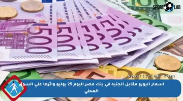 أسعار اليورو مقابل الجنيه في بنك مصر اليوم 25 يوليو وأثرها على السوق المحلي